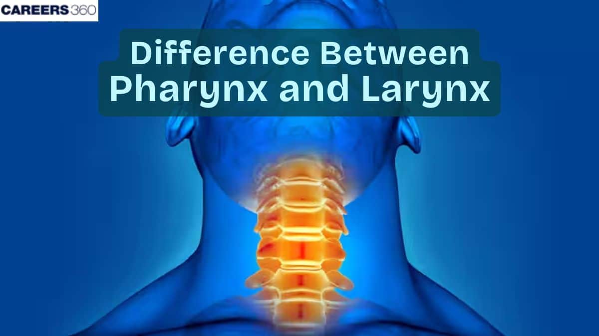 Difference Between Pharynx And Larynx: Overview, Definition & Divisions